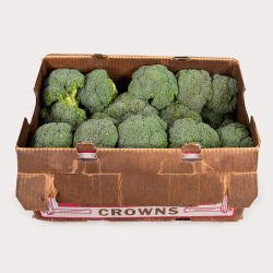 Broccoli (Crown x 1 Box)