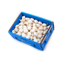 White Mushrooms (5 LB x 1 Box)