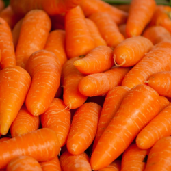 Carrots (50 LB x 1 Bag Loose)